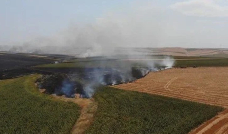 Çorlu'da feci yangın: 2 bin dönüm tarım alanı küle döndü