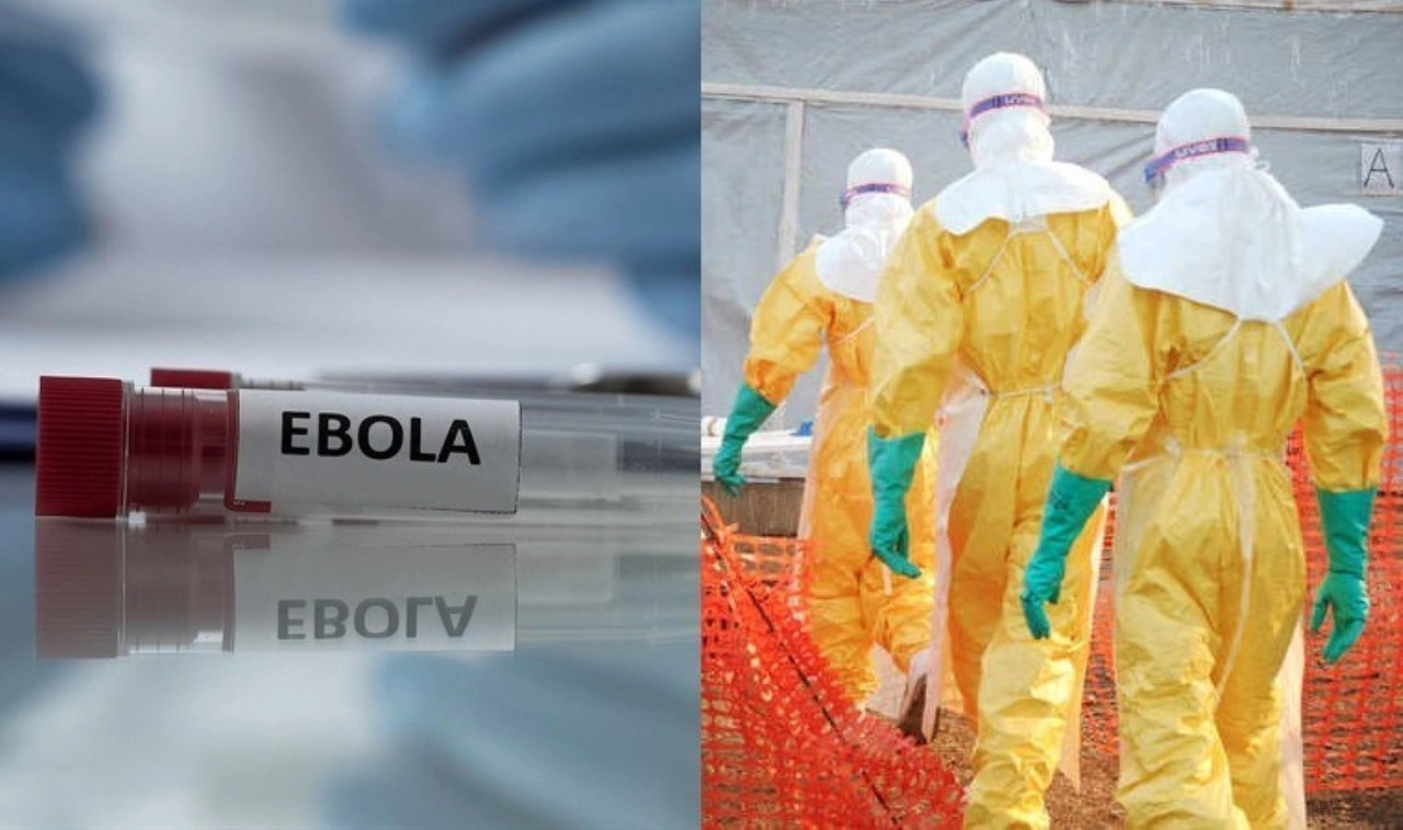 Ebola tedavisinde yeni dönem: %100 koruma sağladı