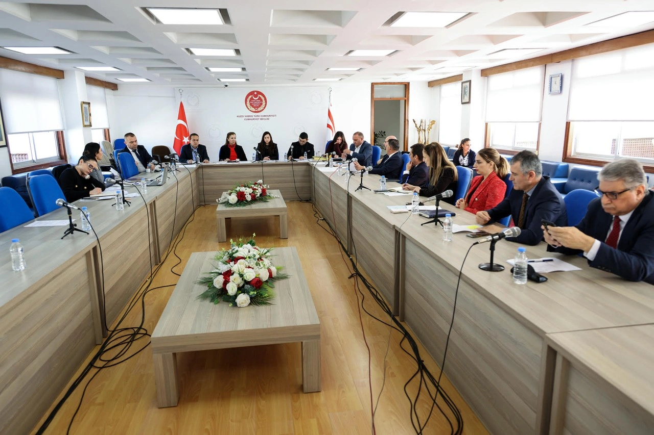 Ekonomi, Maliye, Bütçe ve Plan Komitesi toplandı… İki yasa tasarısı, bir yasa önerisi ele alındı