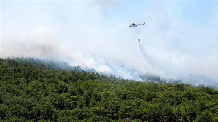 İzmir’in Urla ilçesinde çıkan orman yangını kontrol altında