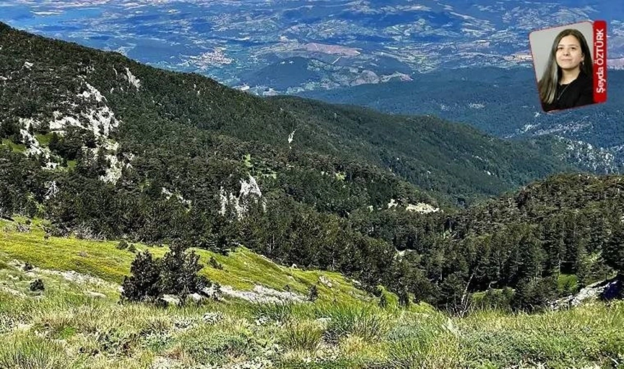 Mahkemenin iptal ettiği proje büyüyerek onay aldı! Şirket JES’ten vazgeçmiyor