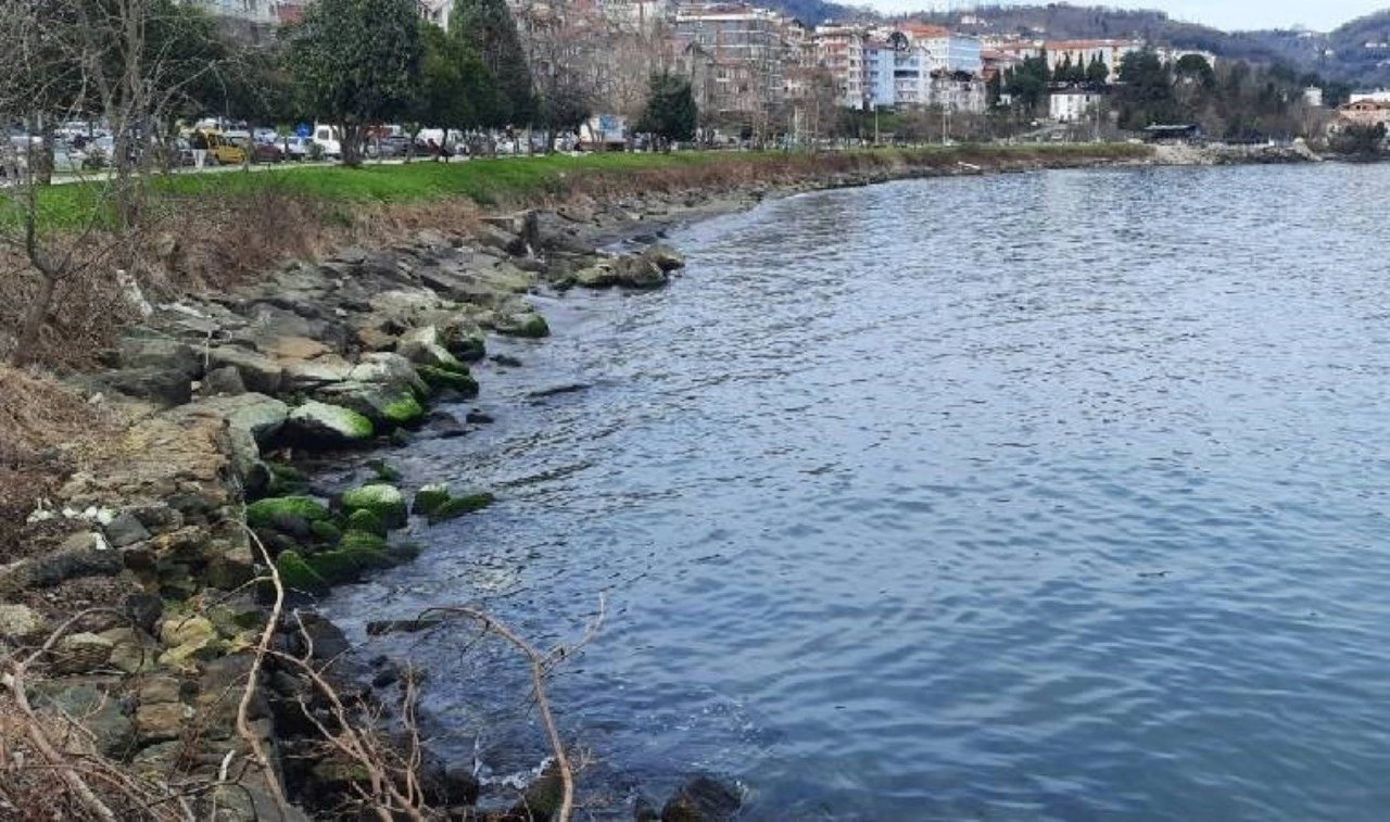 Ordu Büyükşehir Belediyesi'nin 'ÇED gerekli değildir' kararına mahkemeden iptal