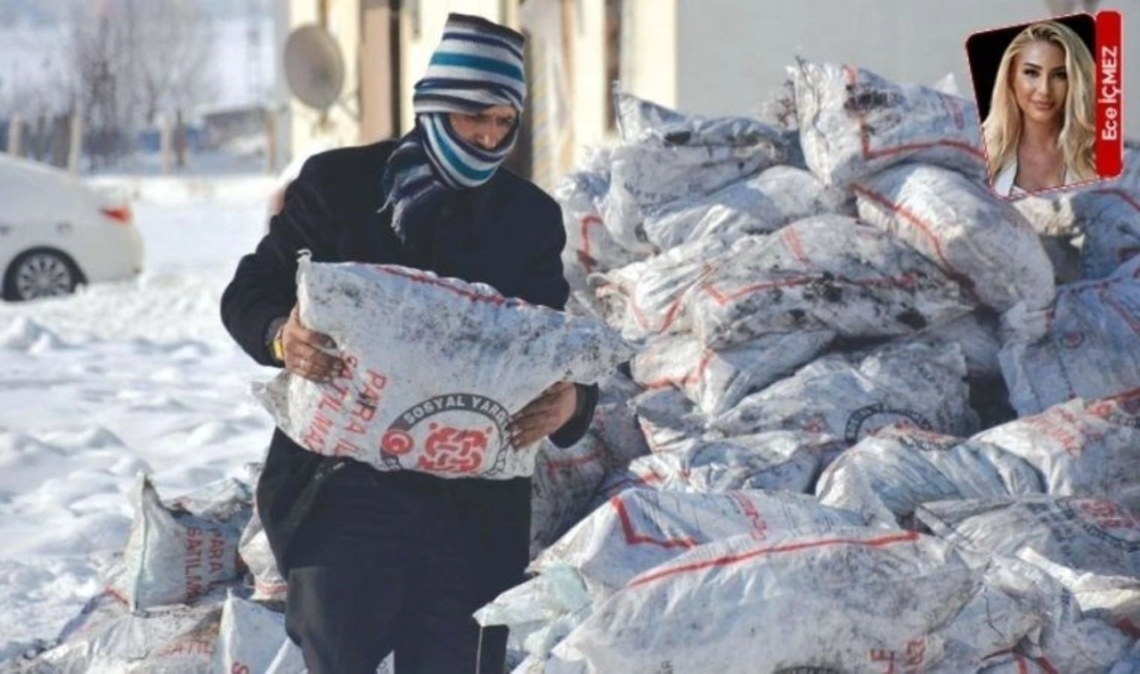 Yurttaş ücretsiz kömürleri satıyor