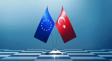 AB Türkiye Delegasyonu Başkanı'ndan Gümrük Birliği ve vize açıklaması
