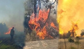 Adana, Antalya ve Kahramanmaraş orman yangınında son durum!