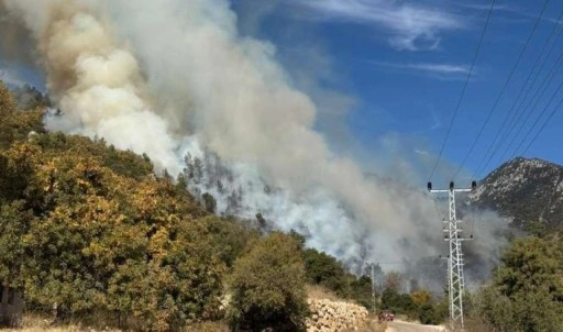 Antalya'da orman yangını: Ekipler müdahale ediyor!