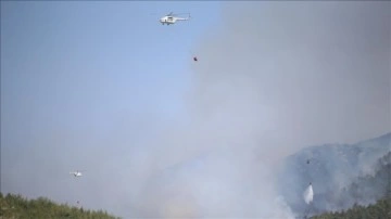 Bodrum'da çıkan orman yangınına havadan ve karadan müdahale ediliyor