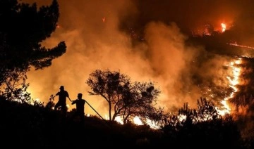 Çanakkale’de bir ayda 132 yangın: 2 bin 625 futbol sahası büyüklüğünde orman yok oldu