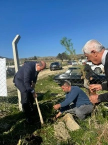 Cumhurbaşkanı Tatar Arıdamı köyünde fidan dikme etkinliğine katıldı