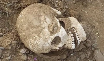 Gümüşhane'de yol ortasında insan kafatası bulundu