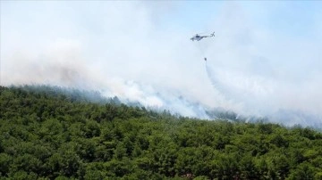 İzmir’in Urla ilçesinde çıkan orman yangını kontrol altında