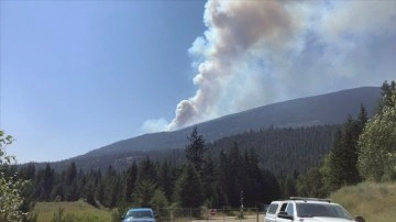 Kanada, orman yangınlarıyla mücadele ediyor