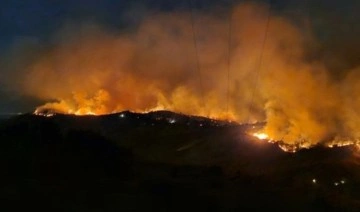 Manisa’daki orman yangını 3’üncü gününde: Karayakup köyünde evler yandı