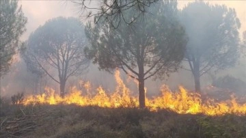 Türkiye 4 ilde yangınlarla mücadele ediyor
